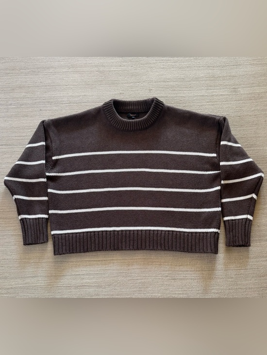 Quince Sweaters - Quince 100% organic cotton brown stripe long sleeve crewneck sweater women’s L
